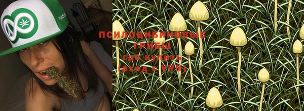 PSILOCYBIN Наволоки