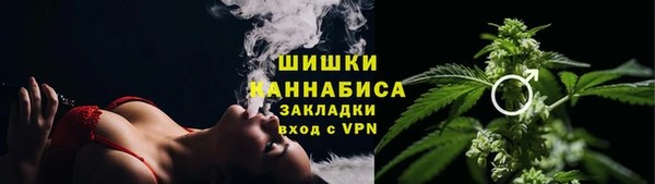 PSILOCYBIN Горно-Алтайск