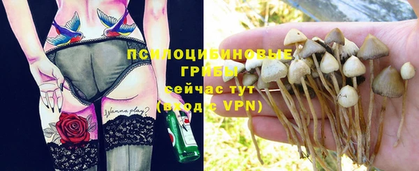 прущие крисы Навашино