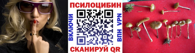 Псилоцибиновые грибы прущие грибы  магазин продажи   Фролово 