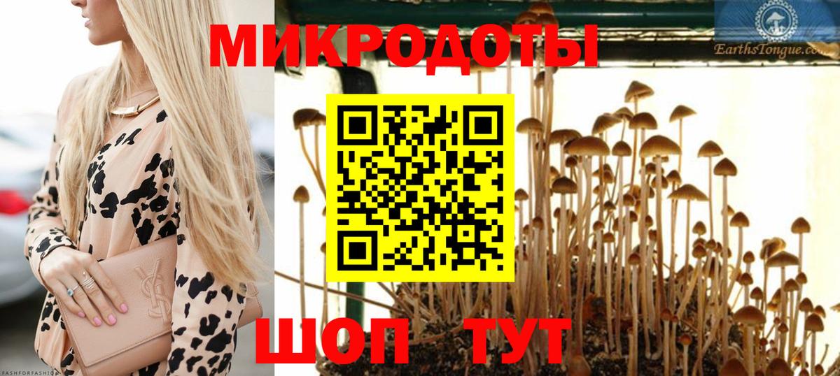 Галлюциногенные грибы Psilocybe Фролово