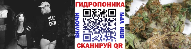 цены   Фролово  Канабис планчик 